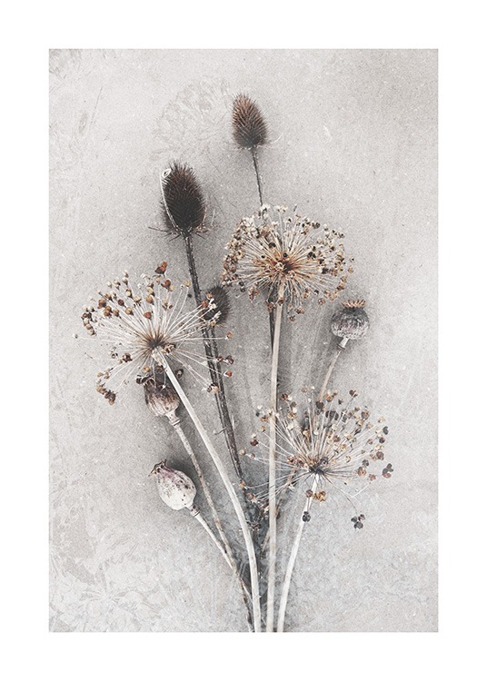 Dried Bunch of Flowers Affiche / Photographie chez Desenio AB (12666)