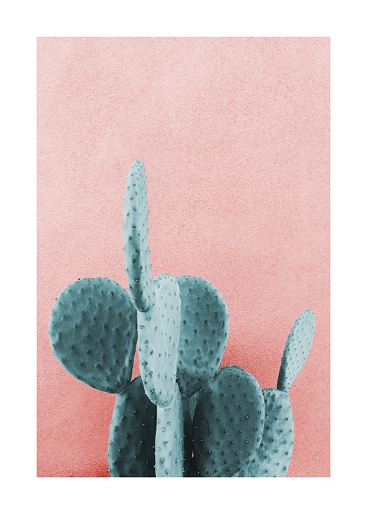 Mint Cactus Affiche / Photographie chez Desenio AB (12852)
