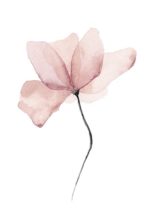  – Peinture à l'aquarelle d'une fleur rose sur un fond blanc
