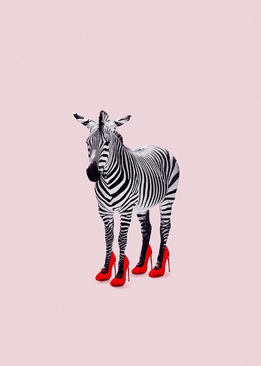 Zebra Heels Affiche / Animaux sauvages chez Desenio AB (12943)
