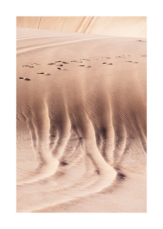  – Photographie d’un paysage désertique avec des dunes de sable et des empreintes de pas