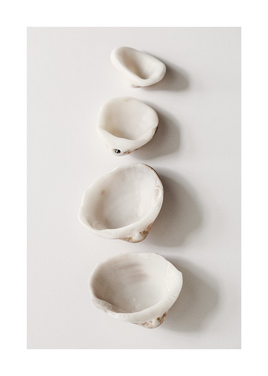 Photographie de quatre coquillages blancs en une rangée sur un fond gris