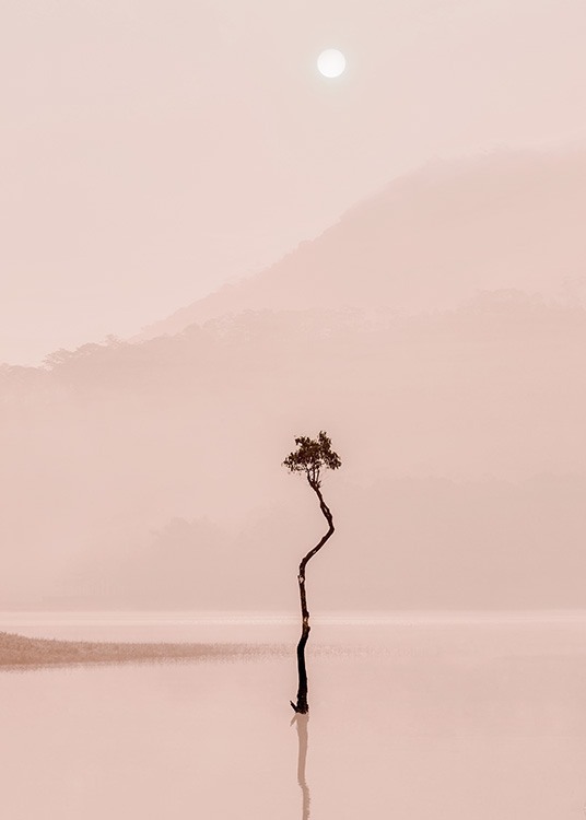 Photographie d’un lac rose brumeux avec un arbre au milieu et la lune à l'arrière-plan.
