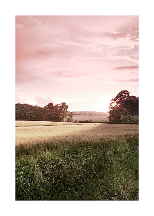 Gravure de nature d’un paysage de campagne au coucher du soleil avec ciel rose à l'arrière-plan