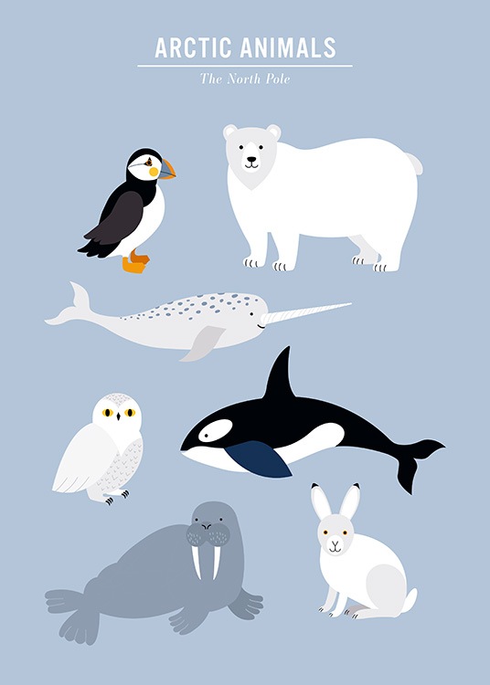  - Affiche pour enfant avec une illustration graphique en bleu avec des animaux arctiques