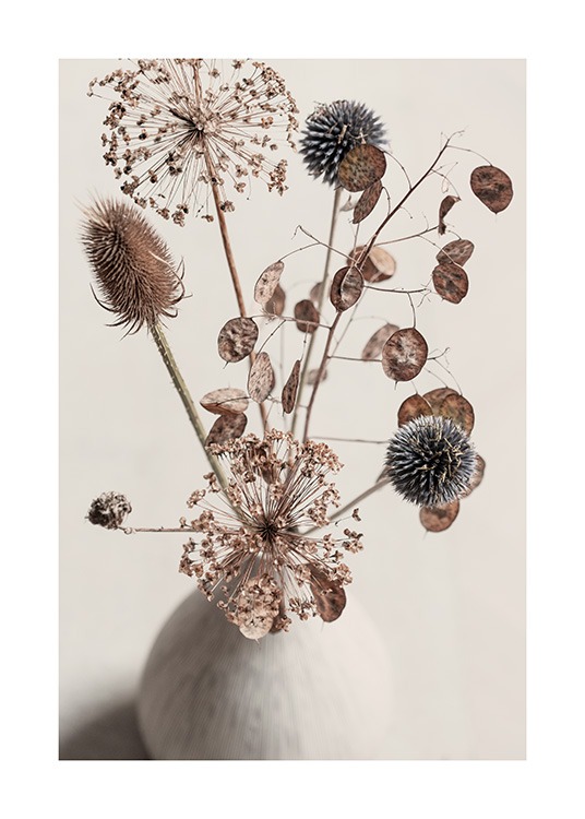  - Affiche botanique d'une photographie d'un bouquet de fleurs séchées marrons dans un vase beige