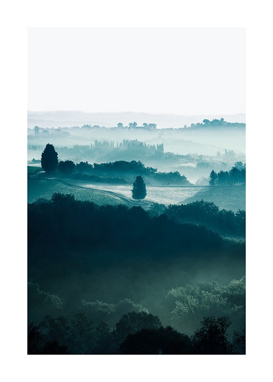  - Photographie de nature d'arbres dans des champs en Toscane couverts de brouillard et de brume