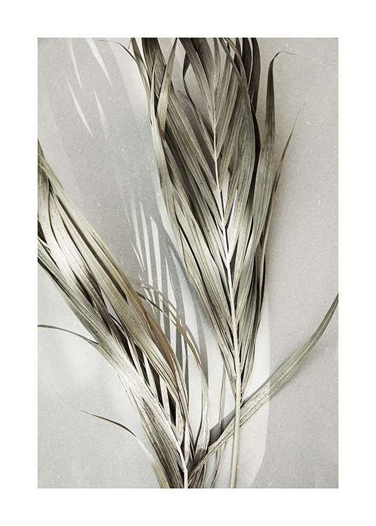  - Photographie de feuilles de palmier séchées sur un fond gris
