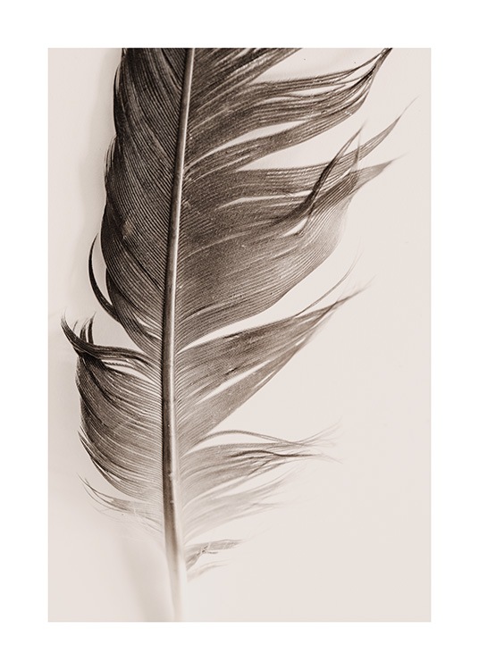 Feather Beige Affiche / Nature chez Desenio AB (13646)