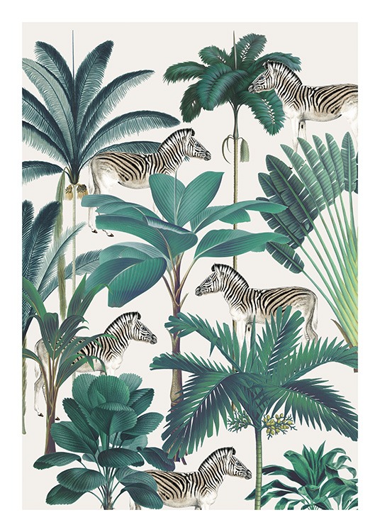 Royal Botanical Zebras Affiche / Animaux sauvages chez Desenio AB (13734)