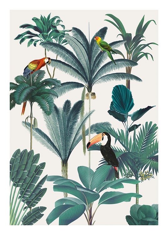 Royal Botanical Birds Affiche / Oiseaux chez Desenio AB (13736)