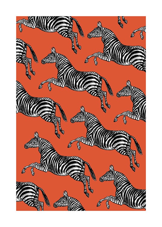 Vintage Zebras Affiche / Insectes et animaux chez Desenio AB (13787)