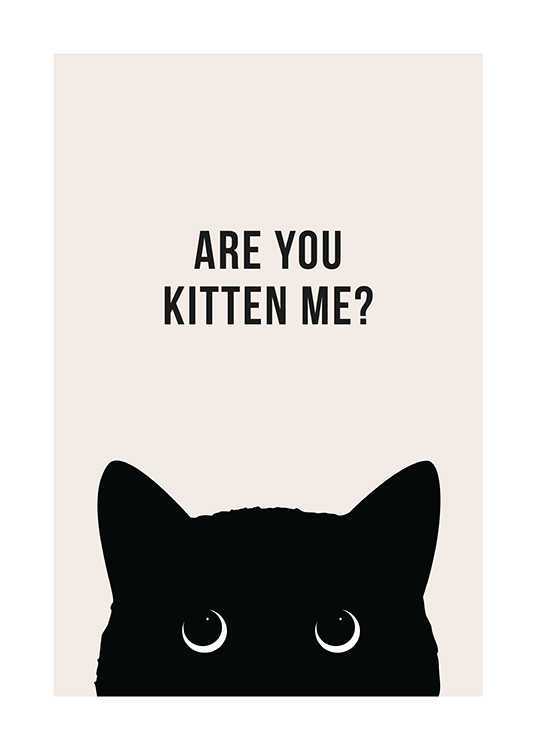 Are You Kitten Me? Affiche / Humour chez Desenio AB (13790)