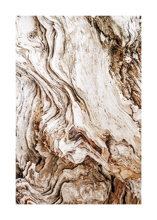 Driftwood Affiche / Photographie chez Desenio AB (13831)