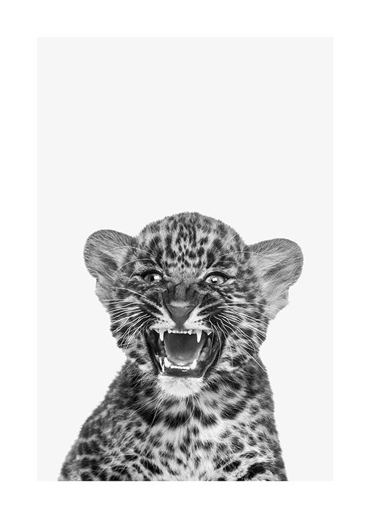 Baby Leopard Affiche / Insectes et animaux chez Desenio AB (13858)