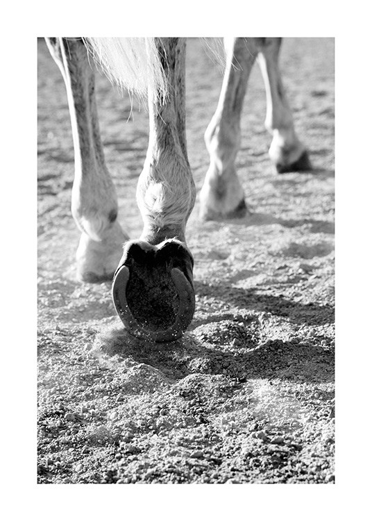 Horse Hoofs Affiche / Chevaux chez Desenio AB (13914)