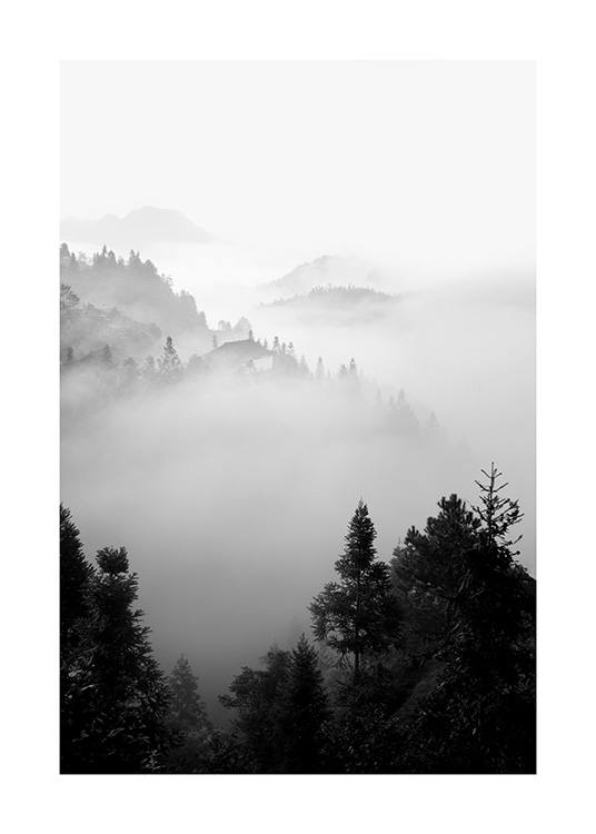  – Photographie en noir et blanc d’un paysage brumeux de forêt dans les montagnes