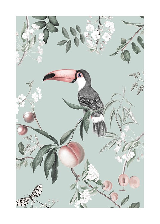  – Illustration rétro d’un toucan sur une branche avec des pêches autour sur un fond vert menthe
