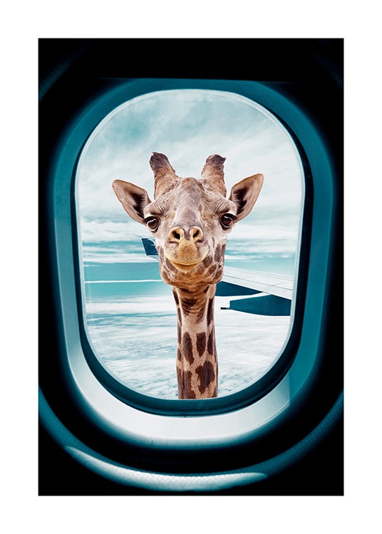  - Photographie d'une girafe à travers un hublot.