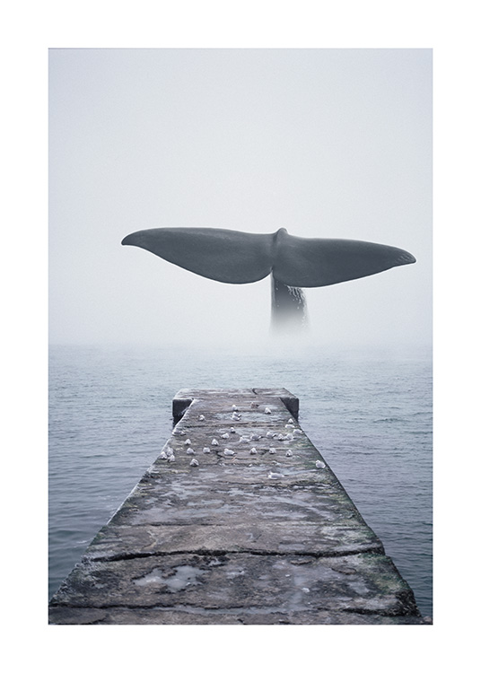  - Photographie d'un ponton donnant sur l'océan et d'une queue de baleine