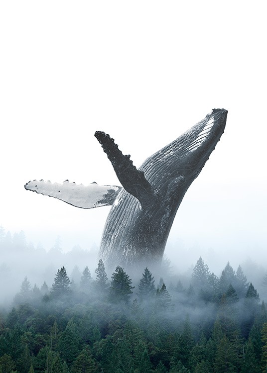  - Photographie d'une baleine, la tête en arrière, dans une forêt embrumée