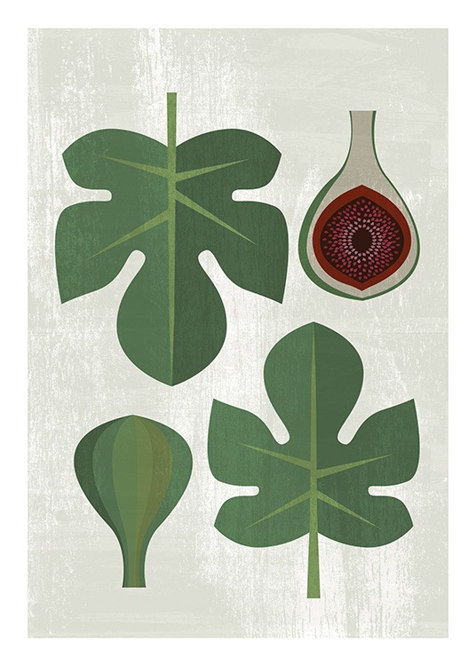  - Affiche de cuisine illustrant feuilles vertes et figues