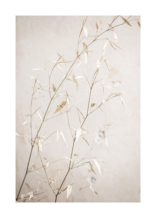  - Photographie d'un gros-plan sur des herbes à petites feuilles sur un fond beige