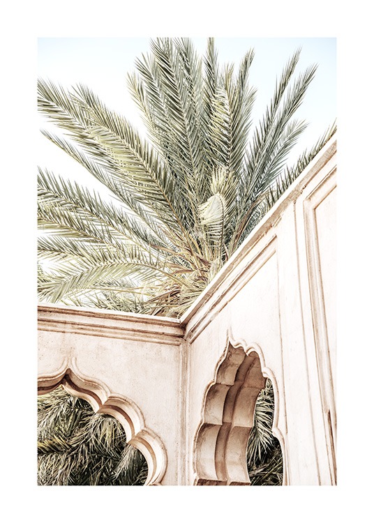  - Photographie d'un bâtiment beige avec des arches arrondies devant un palmier