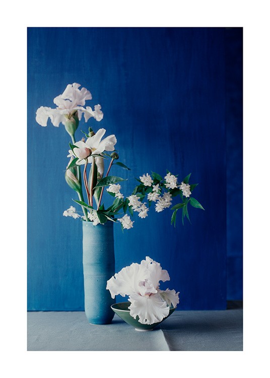  – Photographie de fleurs blanches dans un vase bleu devant un mur bleu foncé