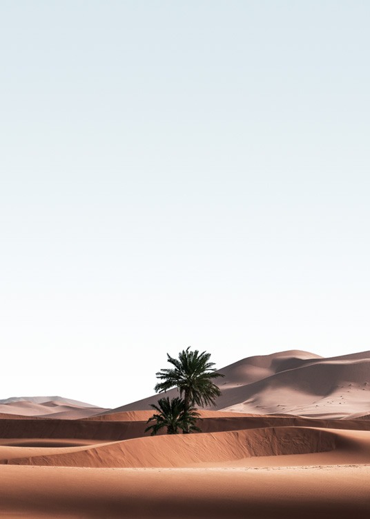  – Photographie d’un paysage désertique avec des palmiers dans les dunes de sable