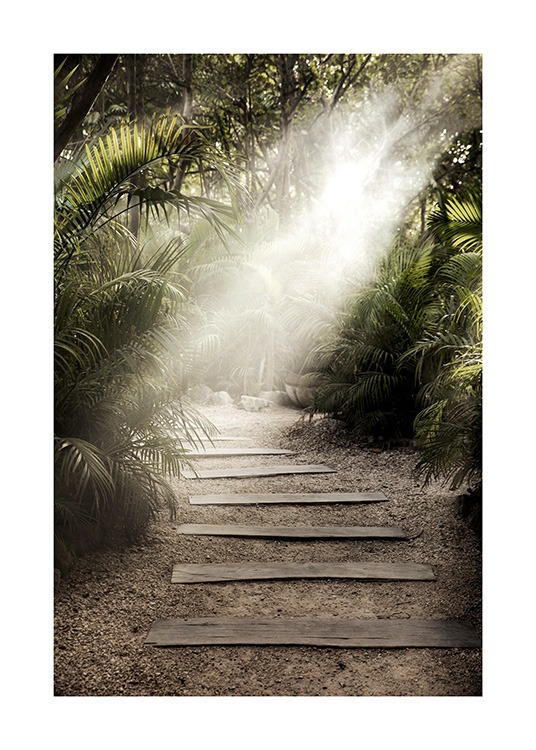  – Photographie de feuilles de palmier entourant un sentier en plein soleil