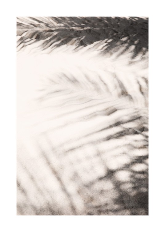  – Photographie d’ombres de feuilles de palmier sur du sable beige