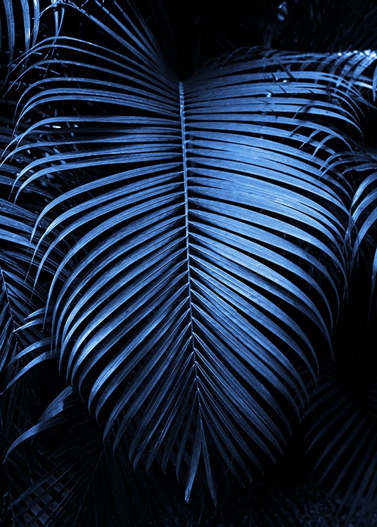  – Photographie d’une grande feuille de palmier en bleu foncé