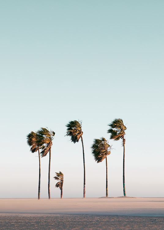  – Photographie de palmiers sur une plage, agités par le vent
