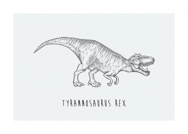 – Illustration d’un Tyrannosaure Rex sur un fond en bleu-vert