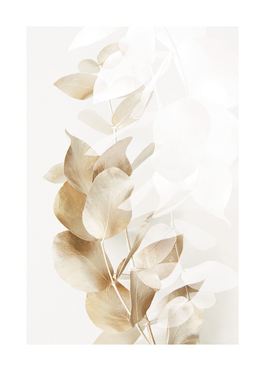 – Photographie de branches d’eucalyptus en doré et blanc sur un fond beige clair
