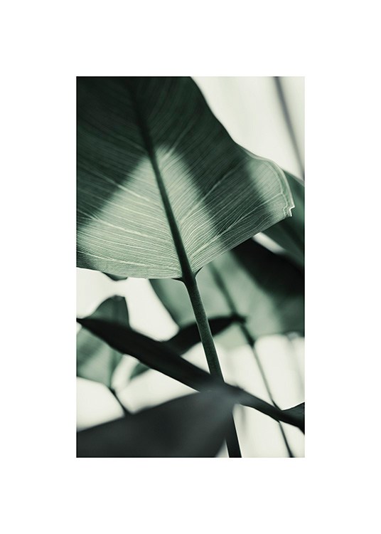  – Photographie d’une feuille verte en plein soleil avec des feuilles floues à l’arrière-plan