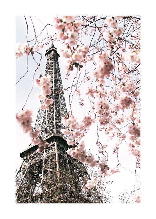  – Photographie d’un arbre avec des fleurs de cerisier roses devant la Tour Eiffel