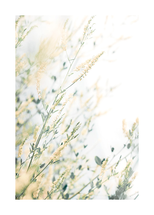  – Photographie d’un bouquet de petites fleurs jaunes avec des feuilles vertes sur un fond blanc