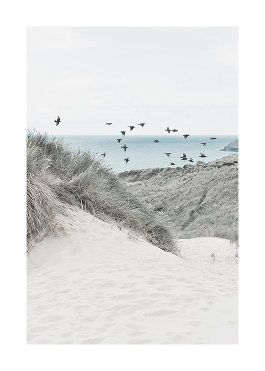  – Photographie de dunes de sable et d’herbe avec une nuée d’oiseaux et une mer à l’arrière-plan