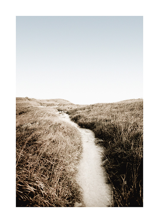  – Photographie d’herbe entourant un chemin de sable, avec un ciel bleu à l’arrière-plan