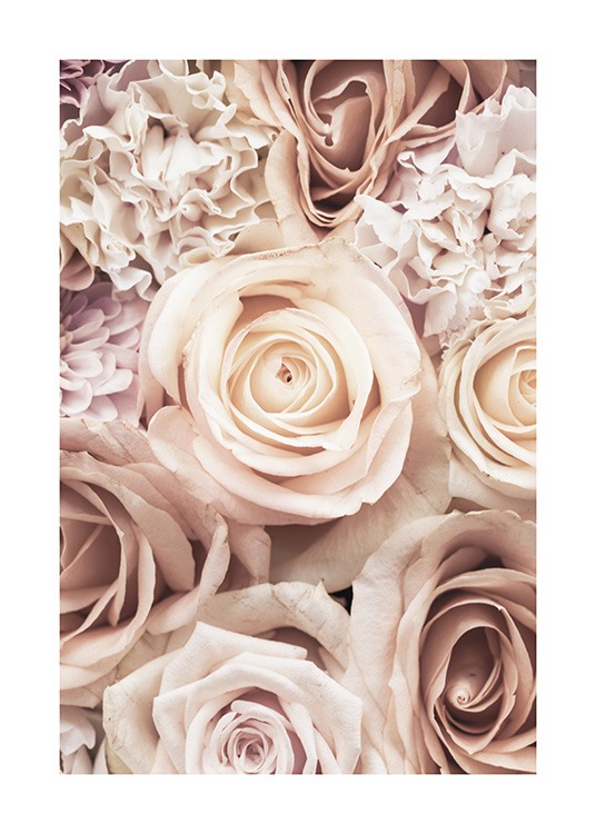  – Photographie d’un groupe de roses et d’œillets roses