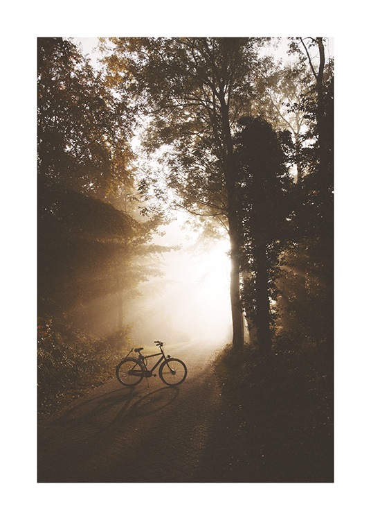  – Photographie d’une forêt avec un vélo posé sur une route au milieu avec la lumière du soleil brillant dessus