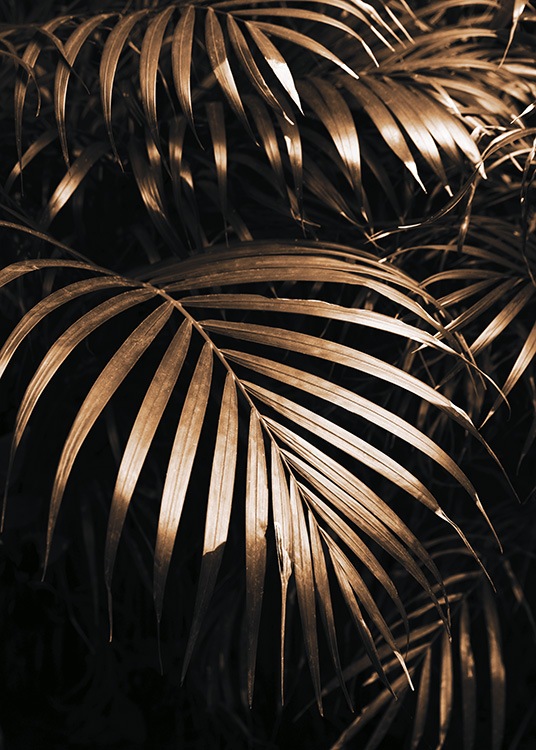  – Photographie de feuilles de palmier dorées sur un fond noir