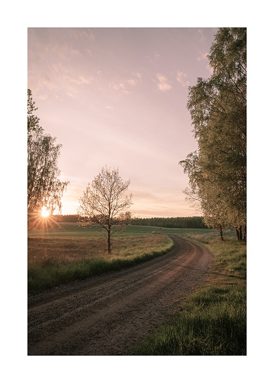  – Photographie d’arbres et de champs autour d’une route de campagne, avec le soleil et un ciel pastel à l’arrière-plan