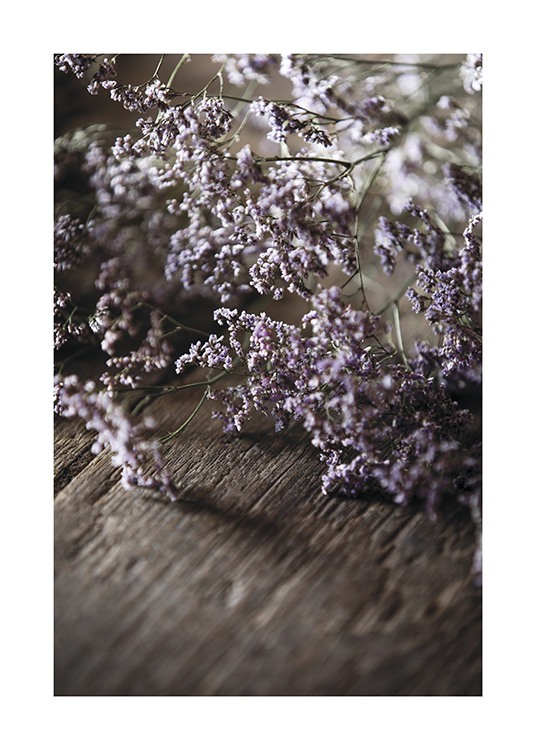  – Photographie en gros plan de petites fleurs en violet, posées sur une table en bois