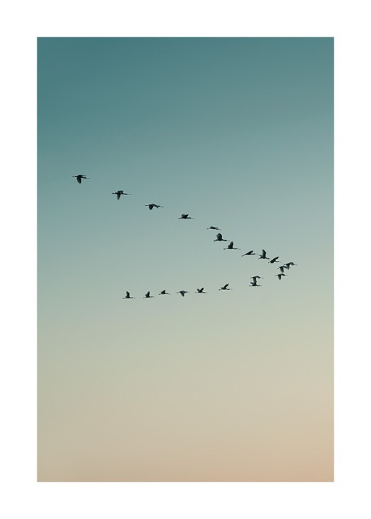  – Photographie d’oiseaux volant ensemble, avec un ciel bleu et beige à l’arrière-plan