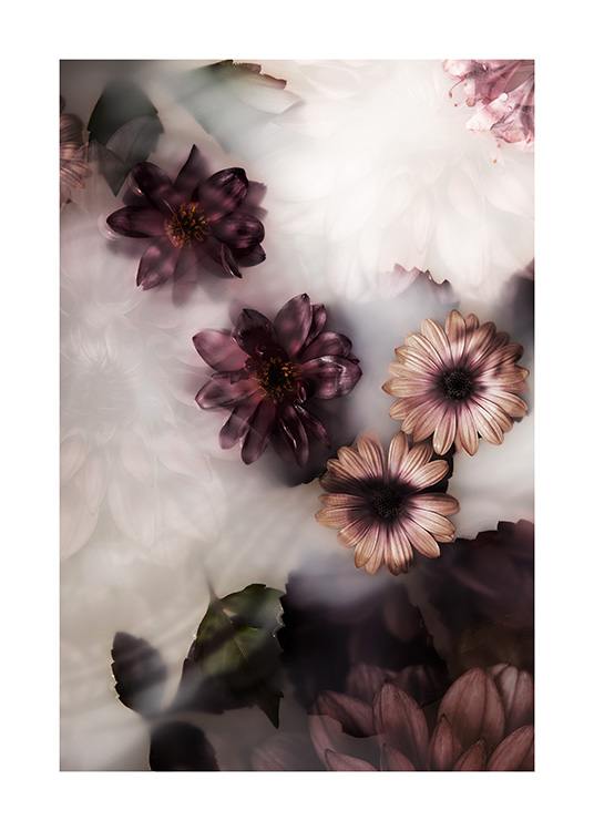  – Photographie de fleurs en rose et violet foncé flottant dans un bain de lait
