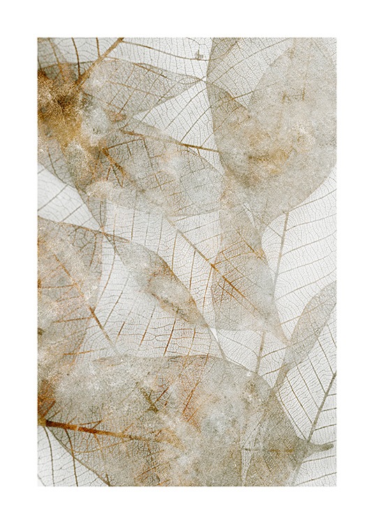  – Photographie de feuilles abstraites beiges et dorées