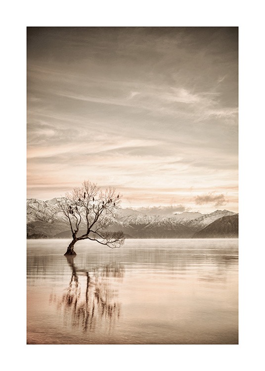  – Photographie d’un lac immobile avec un arbre dessus et des montagnes à l’arrière-plan